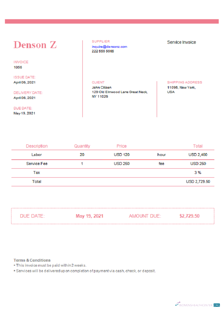 Download USA Denson Z invoice Photoshop template